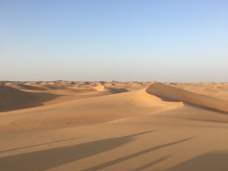 ISD au Moyen-Orient